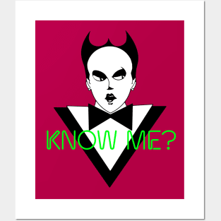 Know Me? Nomi Posters and Art